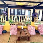 Lazy Dog Bed & Breakfast