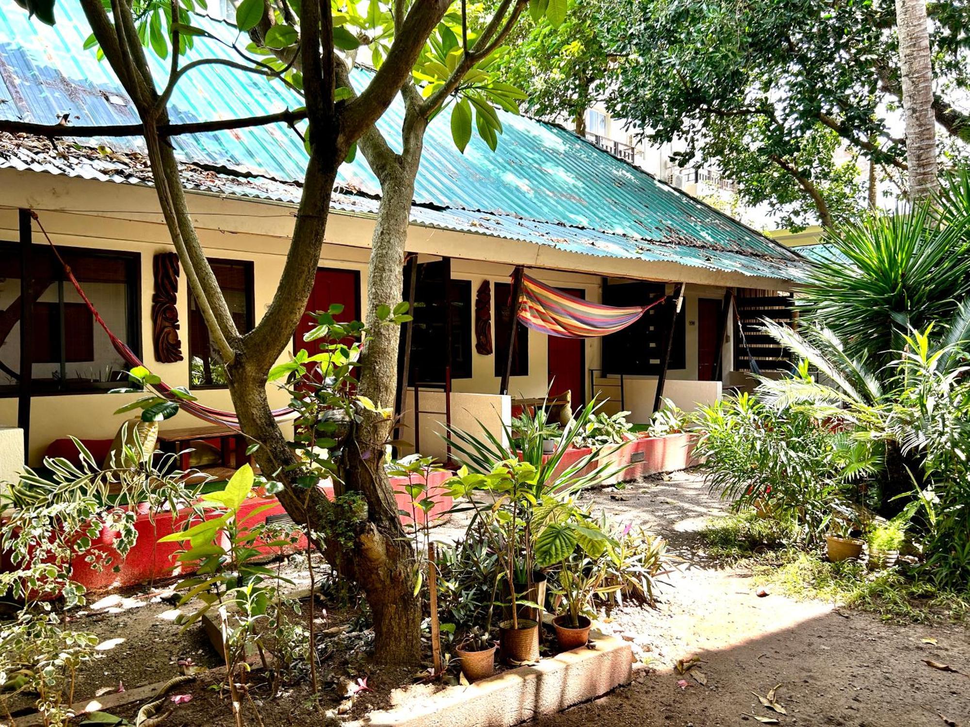 Lazy Dog Resort 2*