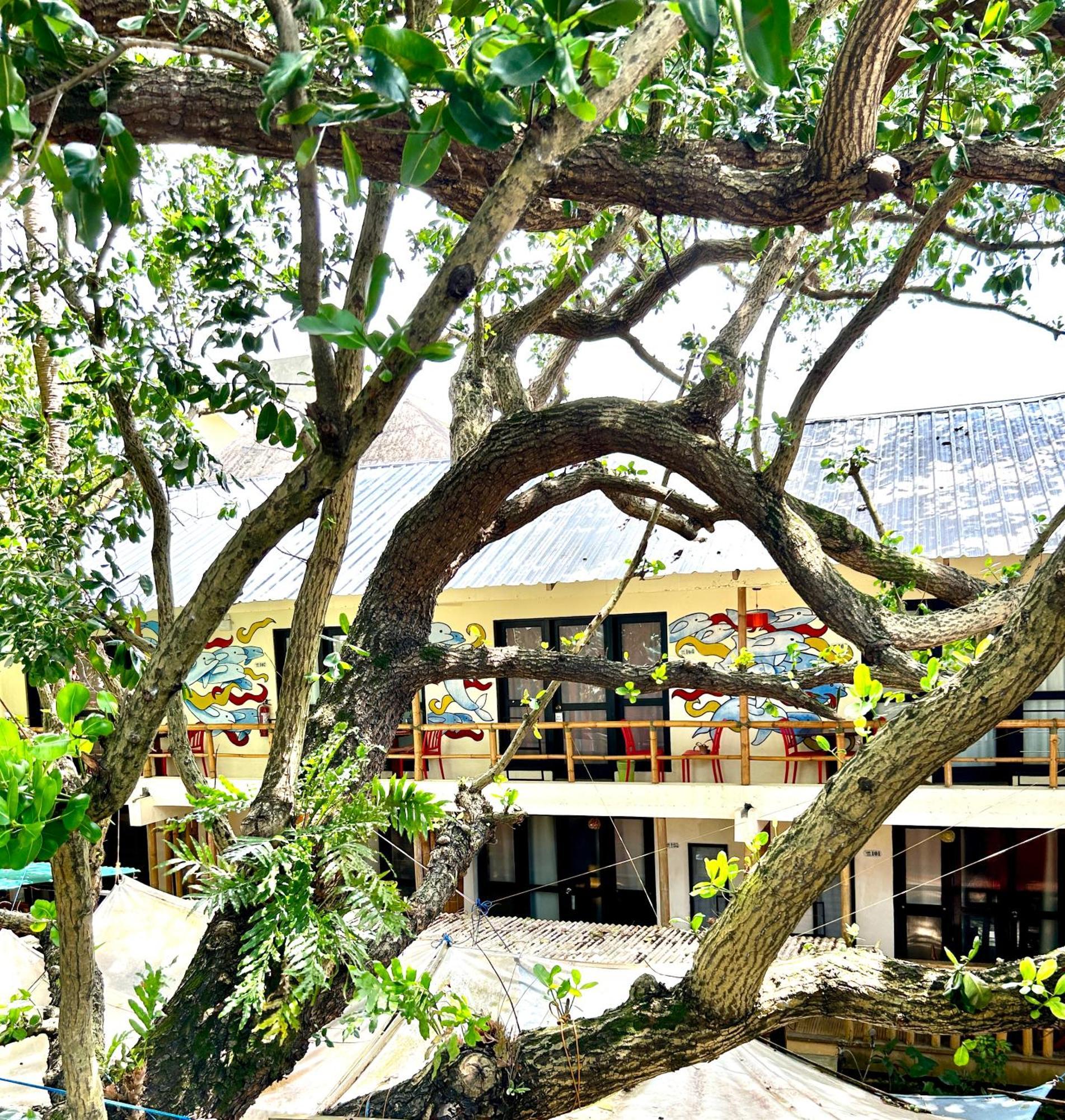 Lazy Dog Resort