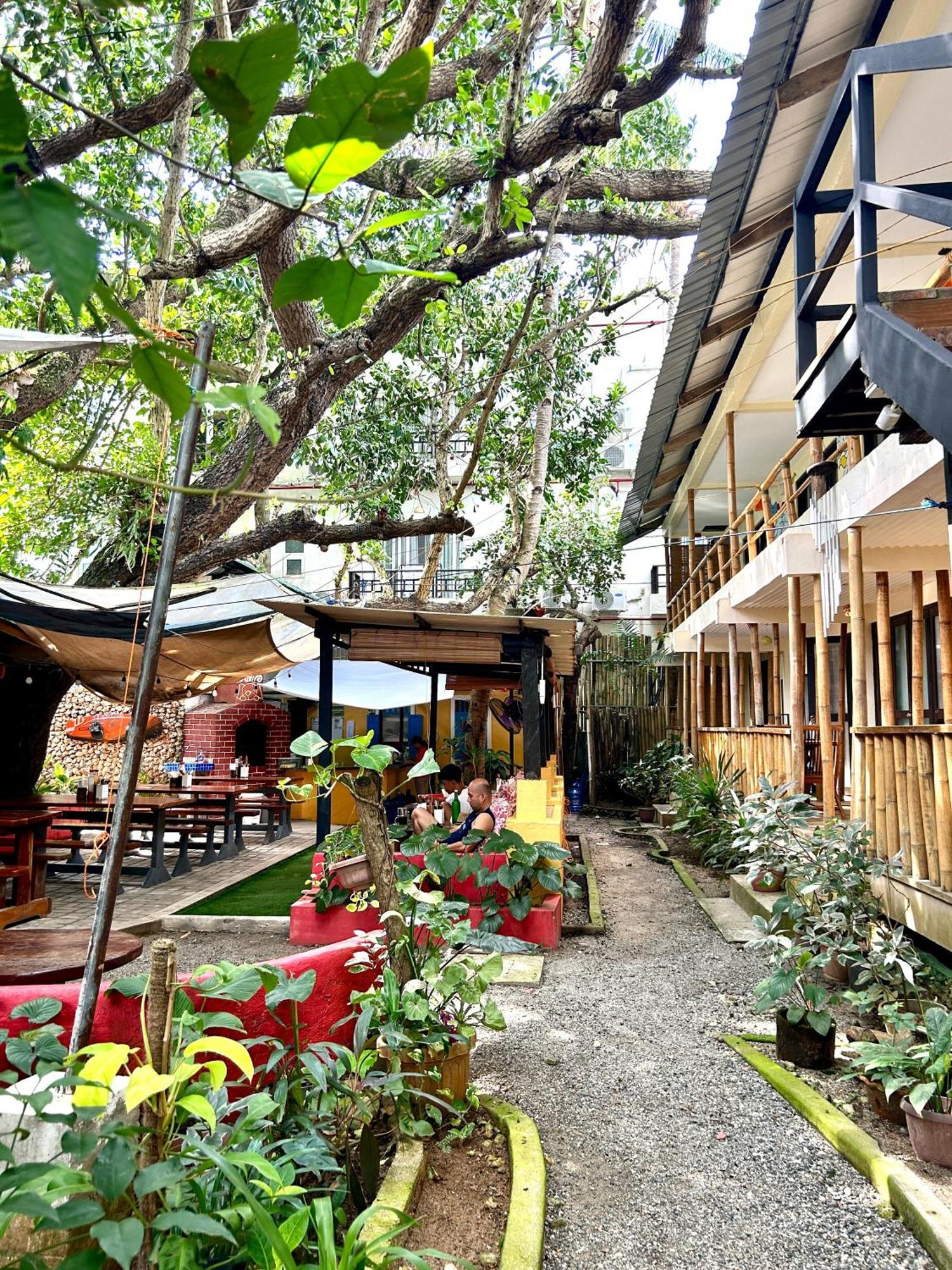 Lazy Dog Resort