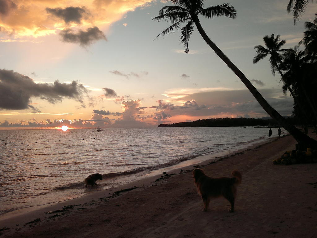 Lazy Dog 2* Balabag (Boracay)