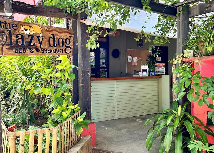 Lazy Dog Bed & Breakfast
